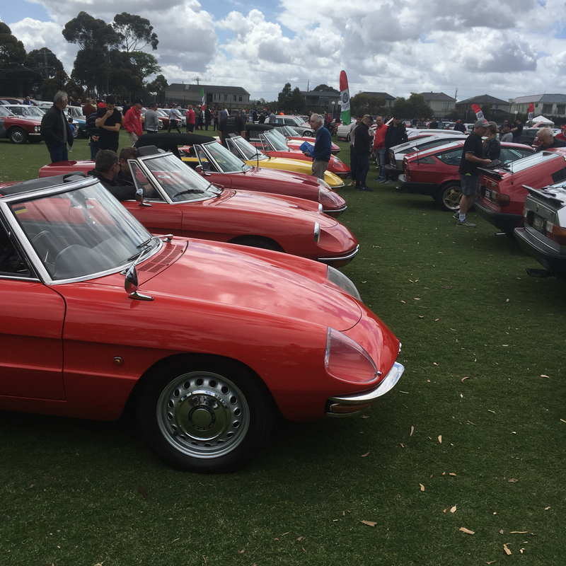 Illustration for article titled Alfa car show pic dump